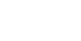 Adler Net